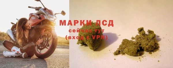 меф Вяземский