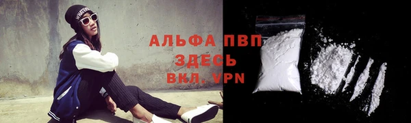 крисы Вязники