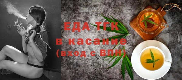 мдпв Инсар